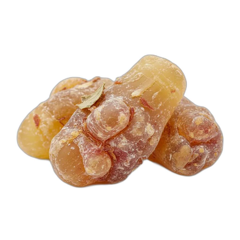 Boswellia serrata — bylina s tradičným využitím pre pohybový aparát